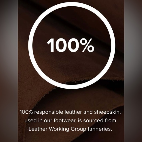 Mini Bailey Bow II - Picture 6 of 16